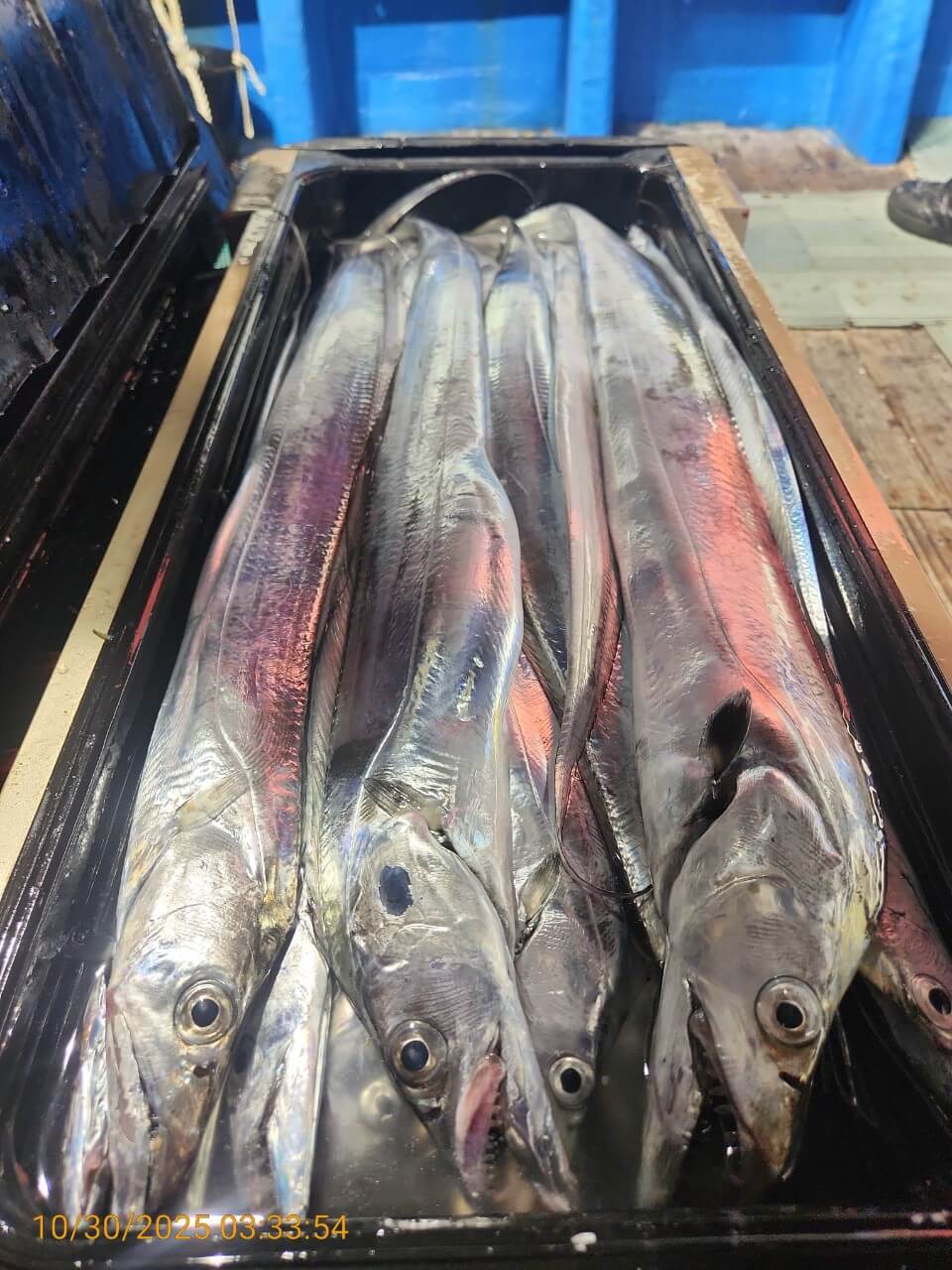 6539c2bf16f80307babbc9f1e3464be5_1761792629_4915.jpg 6539c2bf16f80307babbc9f1e3464be5_1761792629_4915.jpg