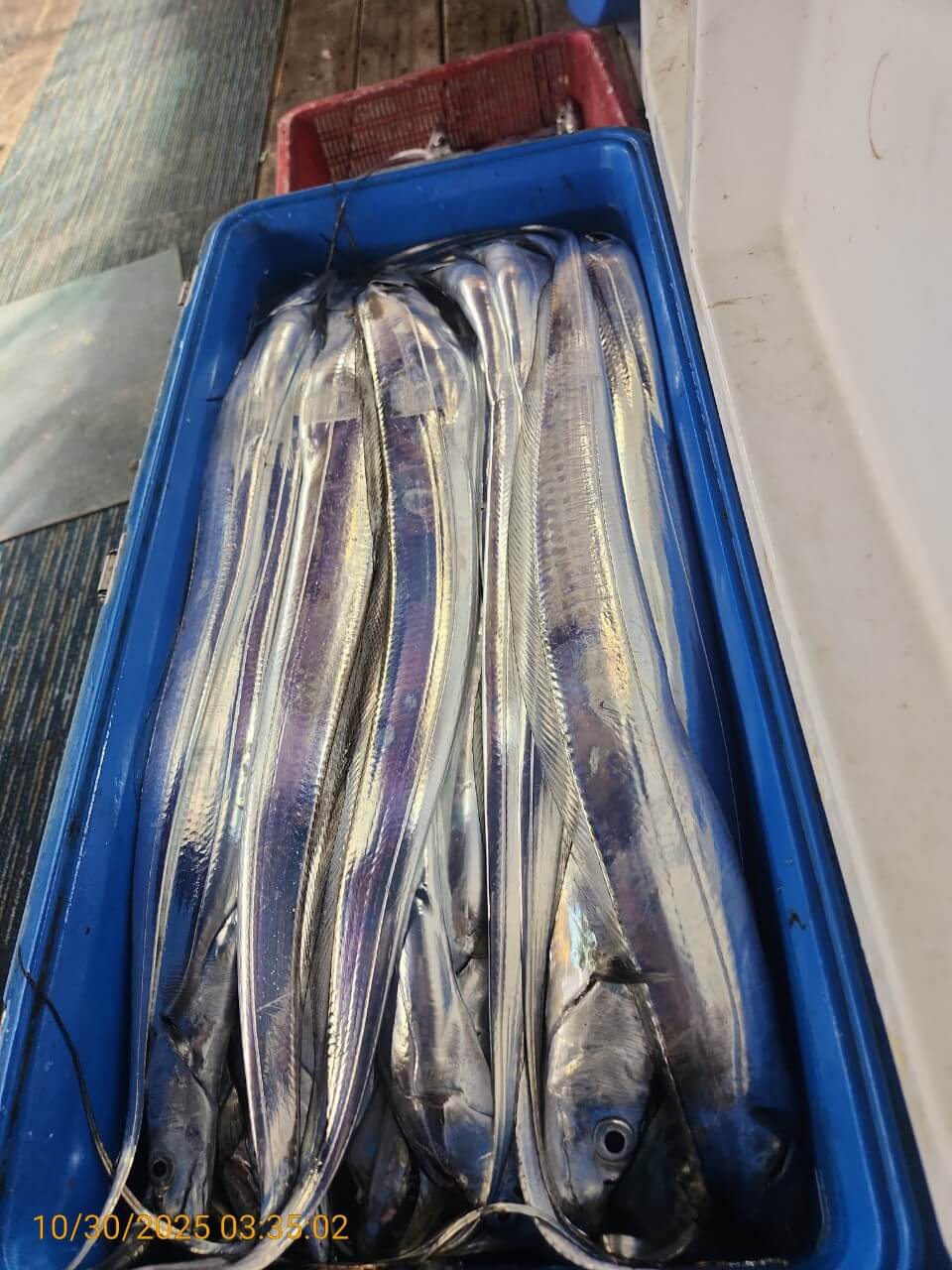 6539c2bf16f80307babbc9f1e3464be5_1761792631_2344.jpg 6539c2bf16f80307babbc9f1e3464be5_1761792631_2344.jpg