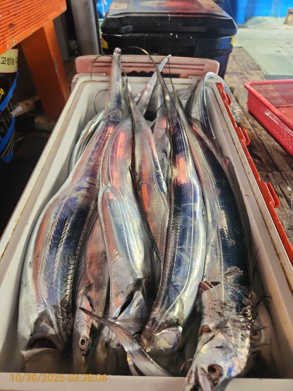 6539c2bf16f80307babbc9f1e3464be5_1761792633_3066.jpg 6539c2bf16f80307babbc9f1e3464be5_1761792633_3066.jpg