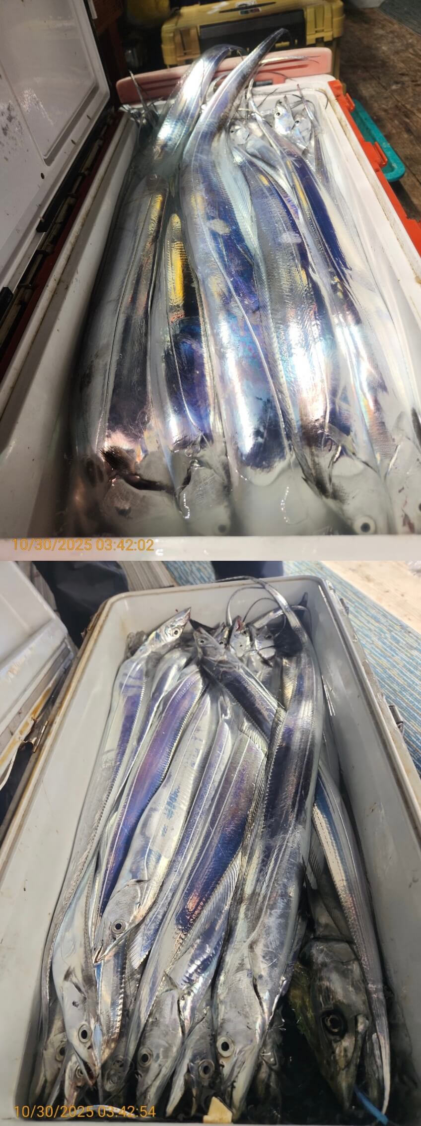 6539c2bf16f80307babbc9f1e3464be5_1761792634_8871.jpg 6539c2bf16f80307babbc9f1e3464be5_1761792634_8871.jpg