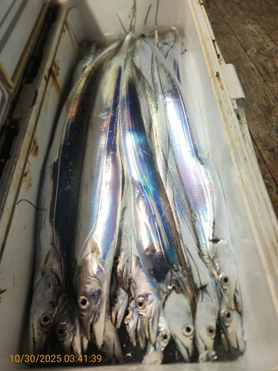 6539c2bf16f80307babbc9f1e3464be5_1761792637_9241.jpg 6539c2bf16f80307babbc9f1e3464be5_1761792637_9241.jpg