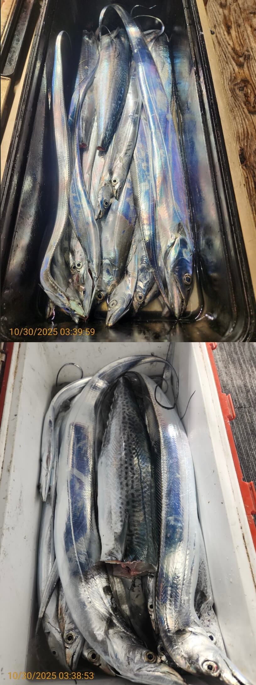 6539c2bf16f80307babbc9f1e3464be5_1761792639_4616.jpg 6539c2bf16f80307babbc9f1e3464be5_1761792639_4616.jpg