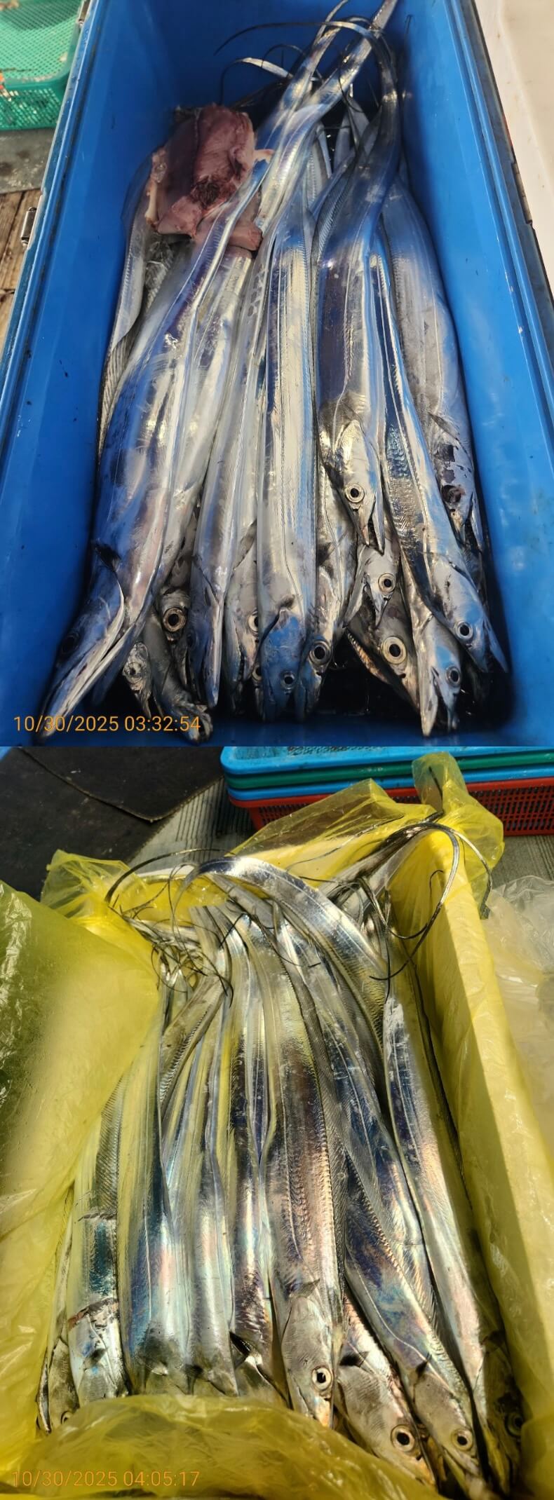 6539c2bf16f80307babbc9f1e3464be5_1761792641_05.jpg 6539c2bf16f80307babbc9f1e3464be5_1761792641_05.jpg