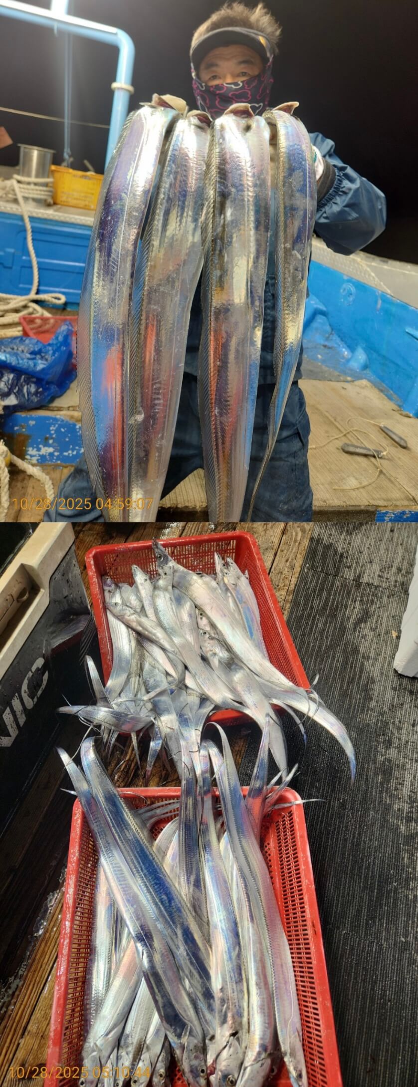 8bf8d0a7e057b73ef877812b922d9506_1761624857_6261.jpg 8bf8d0a7e057b73ef877812b922d9506_1761624857_6261.jpg