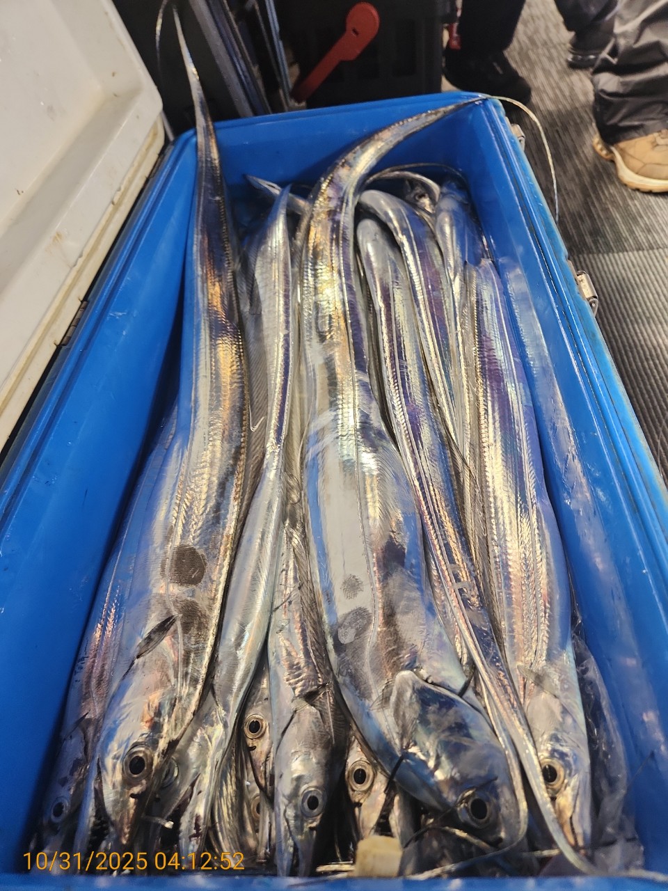 a6b066c11542b041ed37e92340025e53_1761894887_5684.jpg a6b066c11542b041ed37e92340025e53_1761894887_5684.jpg