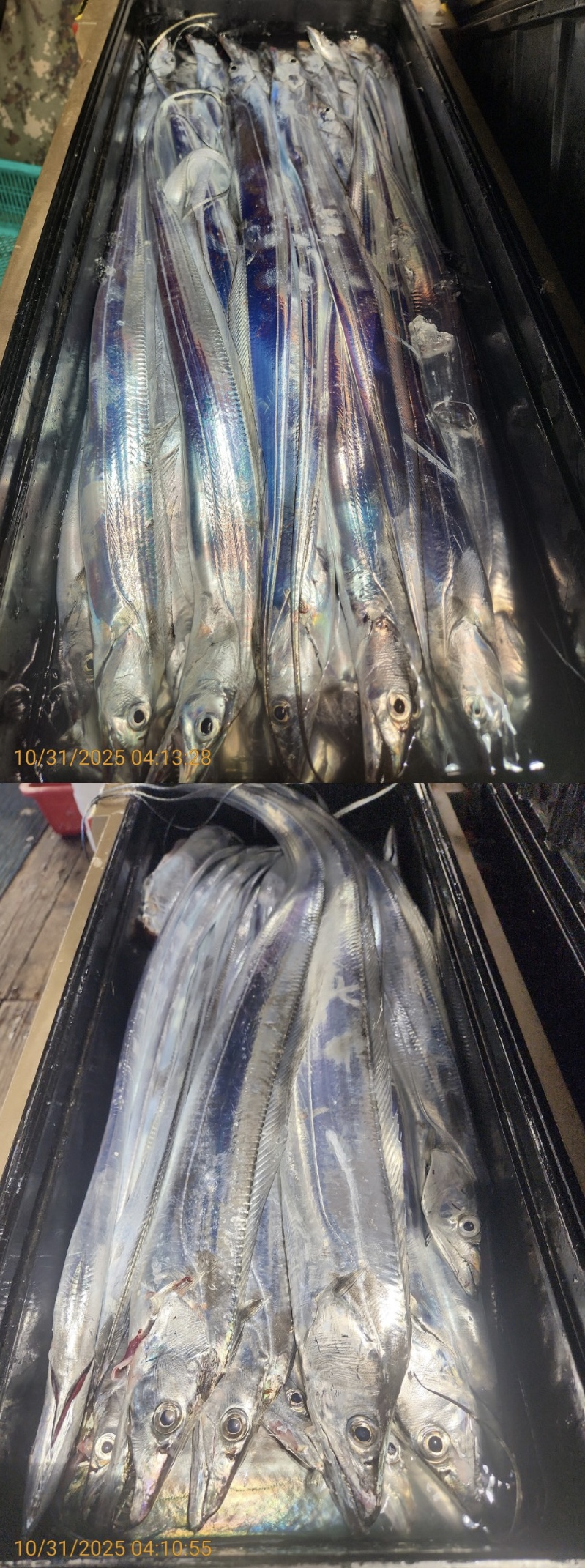 a6b066c11542b041ed37e92340025e53_1761894890_8997.jpg a6b066c11542b041ed37e92340025e53_1761894890_8997.jpg