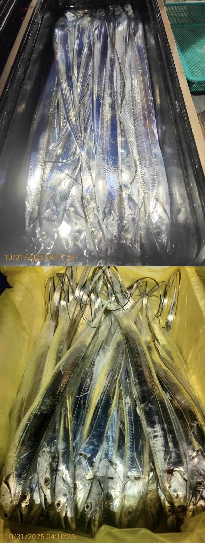 a6b066c11542b041ed37e92340025e53_1761894898_0214.jpg a6b066c11542b041ed37e92340025e53_1761894898_0214.jpg