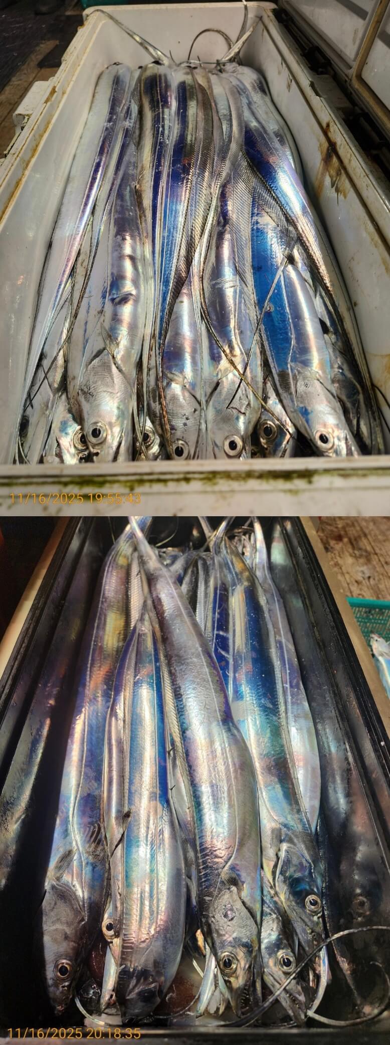 4697ee69534b394c1c7f7e01ad8f82cc_1763352042_7369.jpg 4697ee69534b394c1c7f7e01ad8f82cc_1763352042_7369.jpg