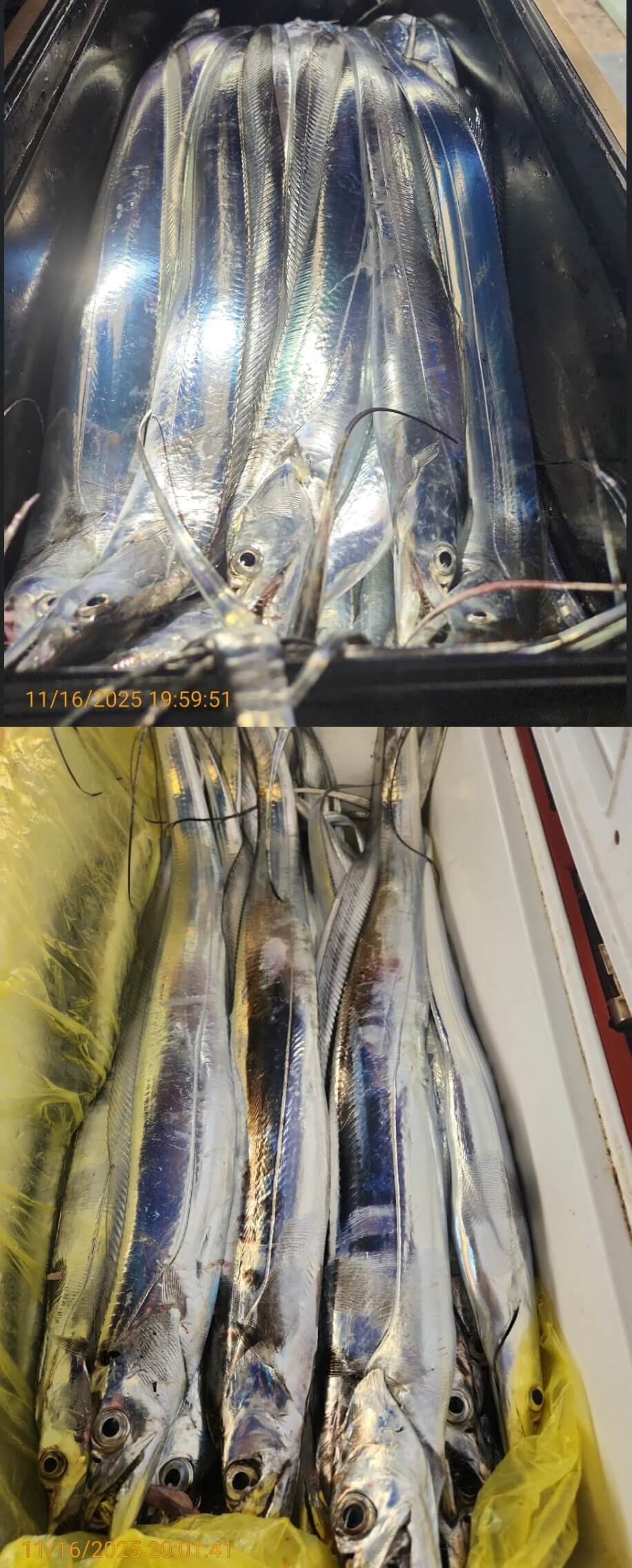 4697ee69534b394c1c7f7e01ad8f82cc_1763352045_9412.jpg 4697ee69534b394c1c7f7e01ad8f82cc_1763352045_9412.jpg