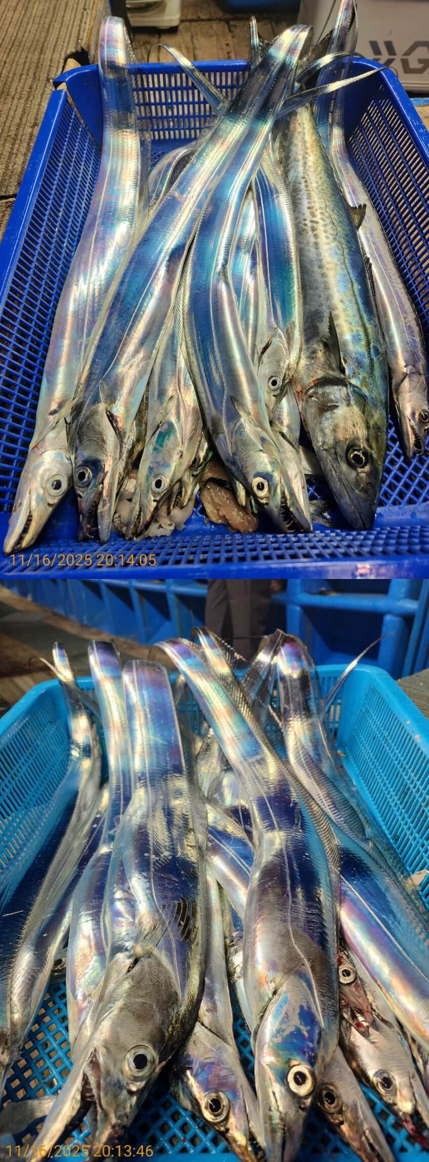 4697ee69534b394c1c7f7e01ad8f82cc_1763352047_0554.jpg 4697ee69534b394c1c7f7e01ad8f82cc_1763352047_0554.jpg