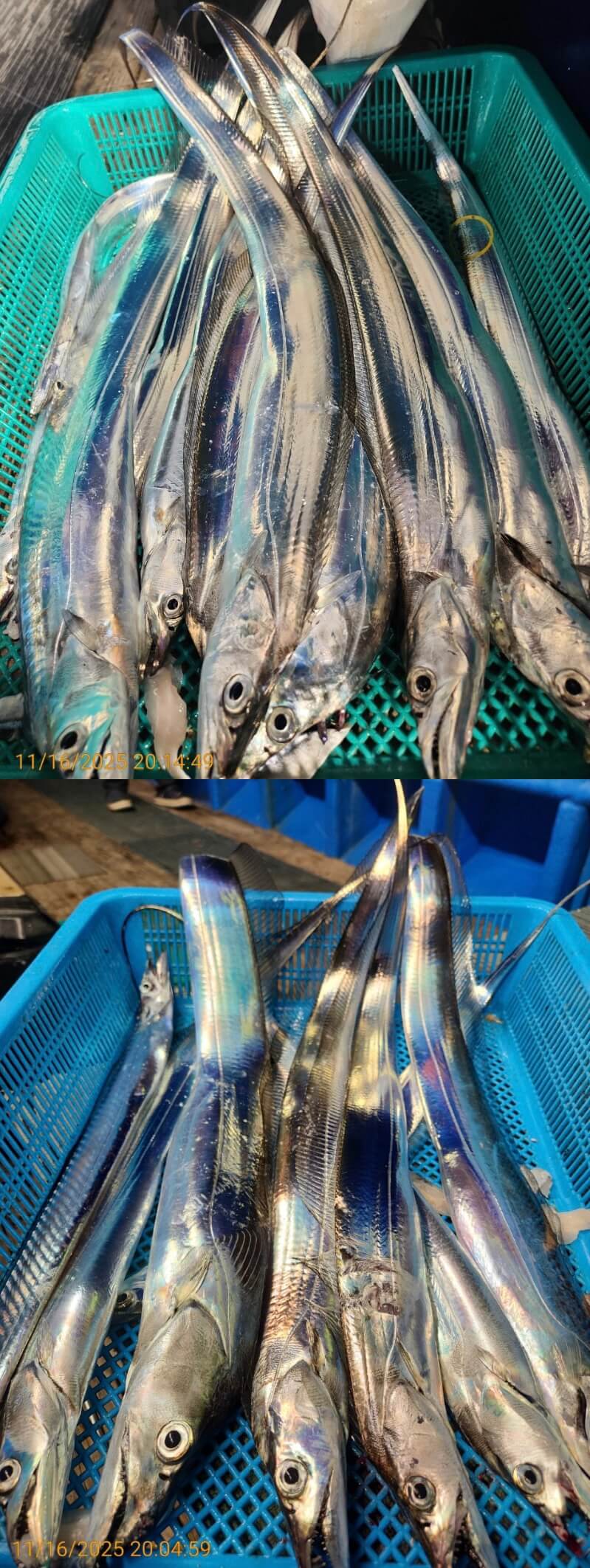 4697ee69534b394c1c7f7e01ad8f82cc_1763352048_0752.jpg 4697ee69534b394c1c7f7e01ad8f82cc_1763352048_0752.jpg