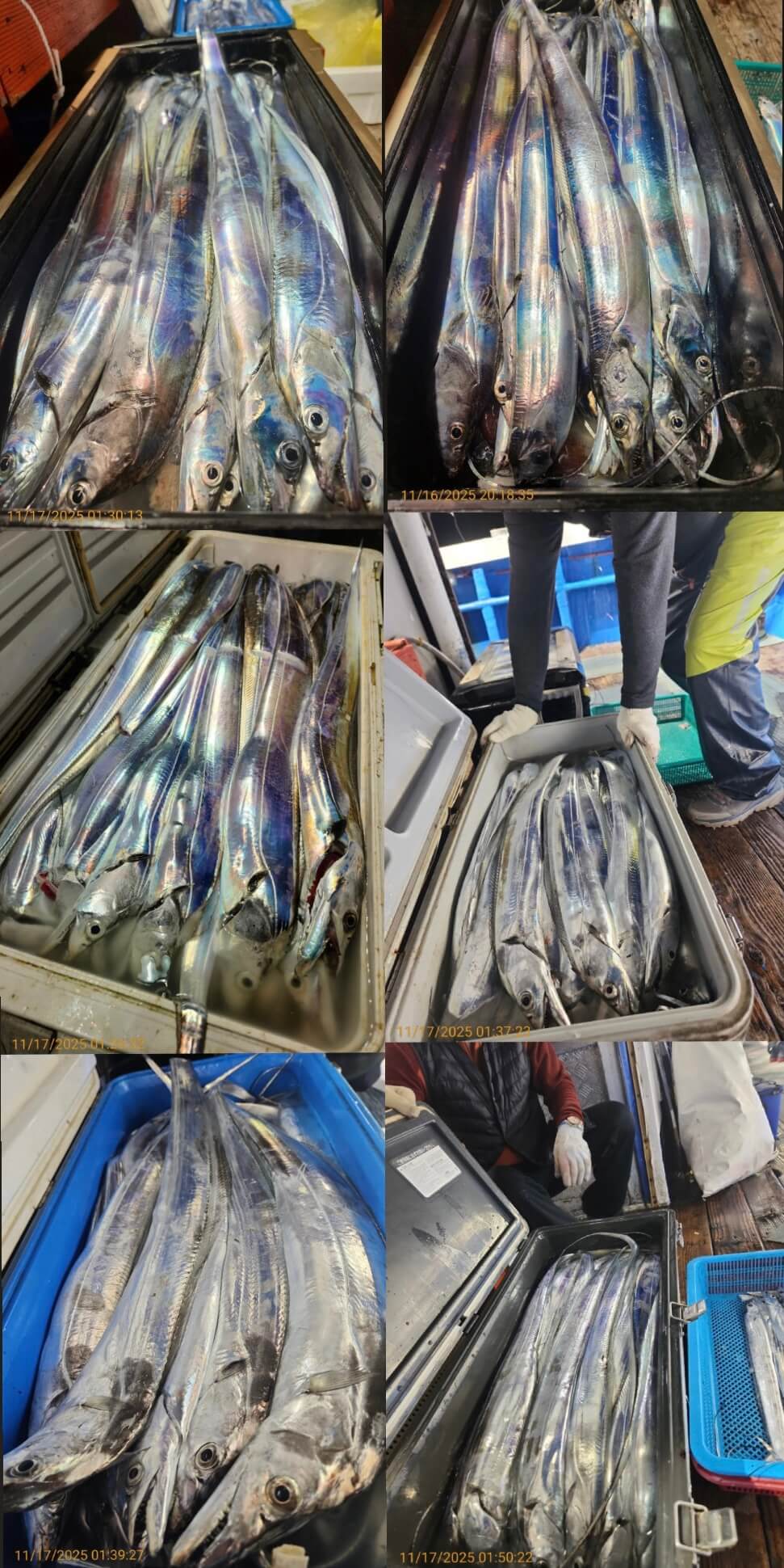 4697ee69534b394c1c7f7e01ad8f82cc_1763352052_8368.jpg 4697ee69534b394c1c7f7e01ad8f82cc_1763352052_8368.jpg