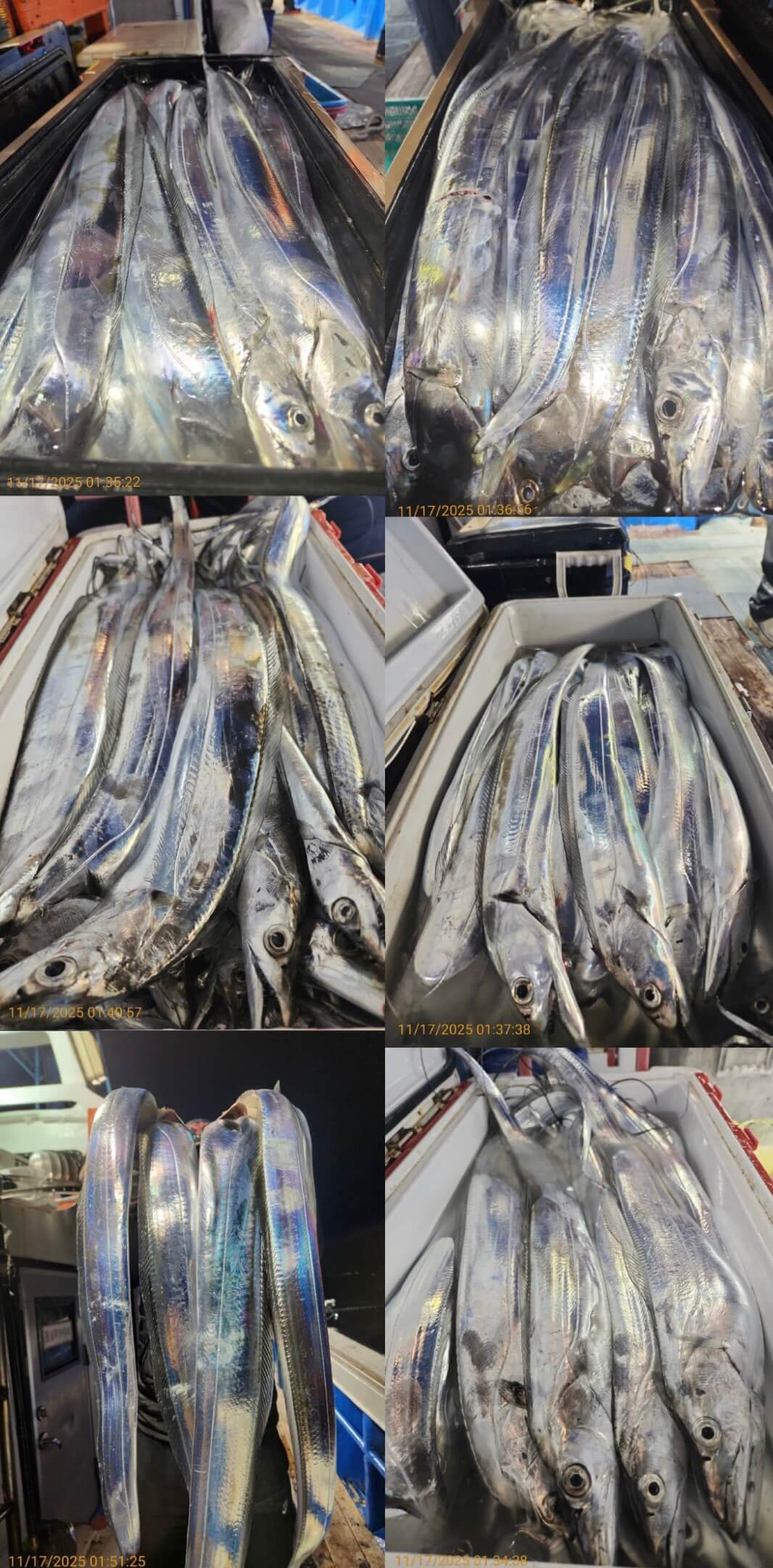 4697ee69534b394c1c7f7e01ad8f82cc_1763352054_2652.jpg 4697ee69534b394c1c7f7e01ad8f82cc_1763352054_2652.jpg