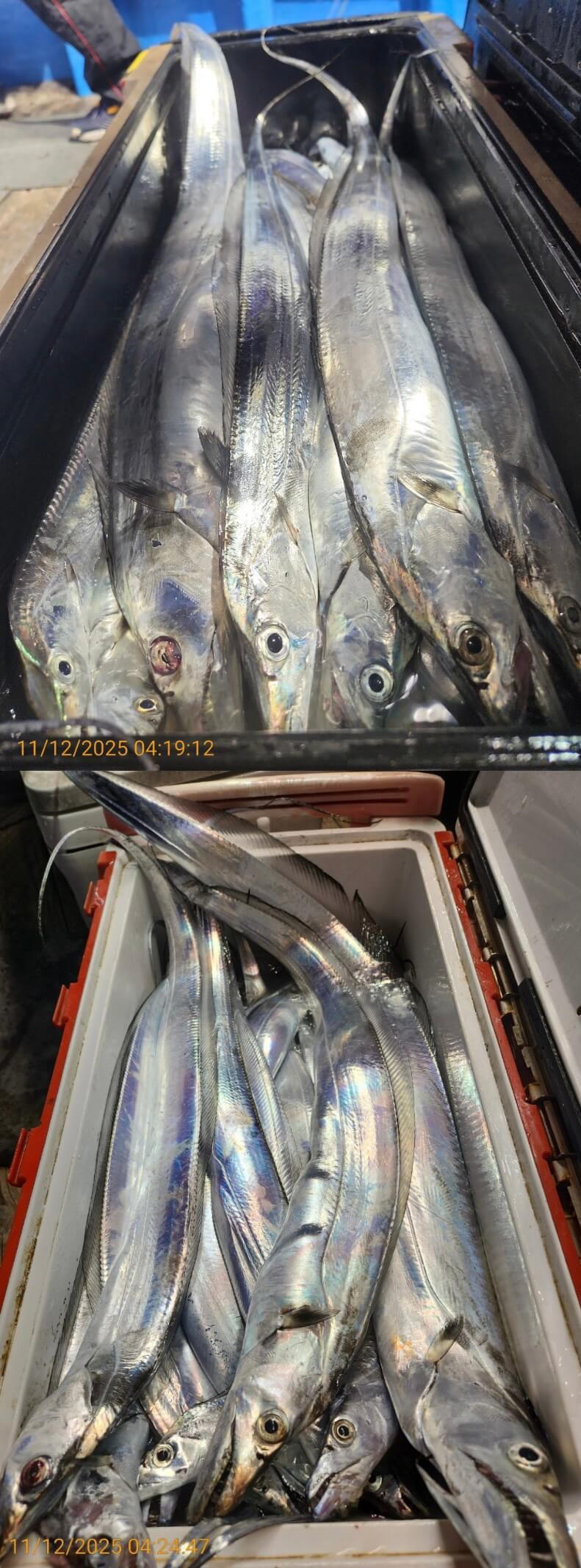 97a0eb5f8b992660c2f8690735a9823d_1762920363_6828.jpg 97a0eb5f8b992660c2f8690735a9823d_1762920363_6828.jpg