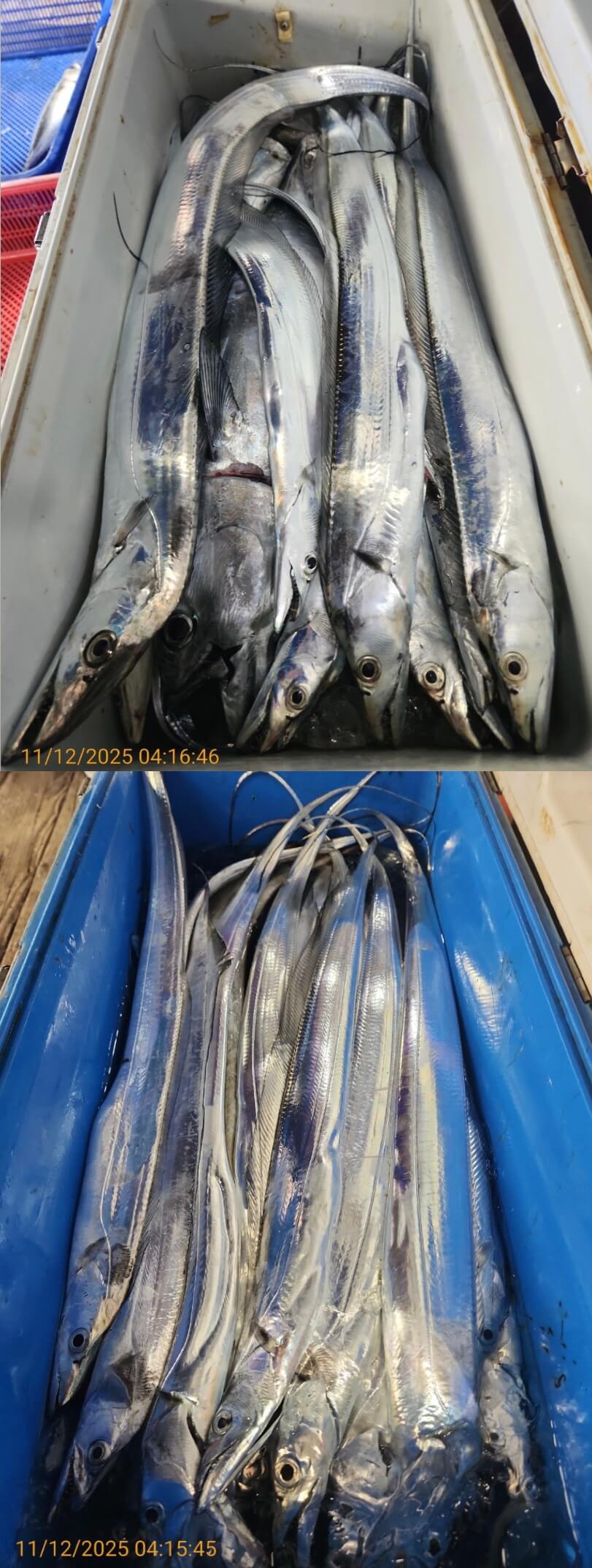 97a0eb5f8b992660c2f8690735a9823d_1762920368_8471.jpg 97a0eb5f8b992660c2f8690735a9823d_1762920368_8471.jpg