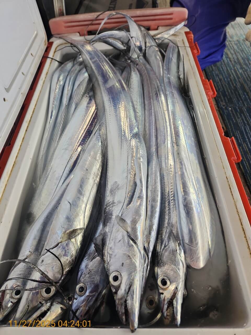 a9c30d70c10503974757bb8804eca262_1764215229_4424.jpg a9c30d70c10503974757bb8804eca262_1764215229_4424.jpg