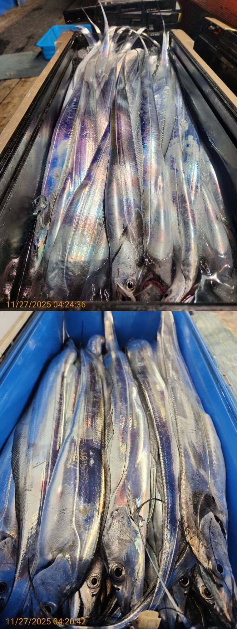 a9c30d70c10503974757bb8804eca262_1764215231_8669.jpg a9c30d70c10503974757bb8804eca262_1764215231_8669.jpg