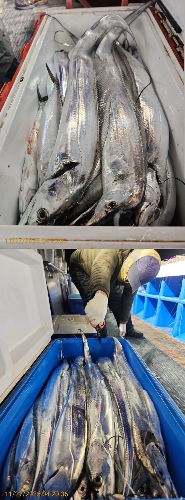 a9c30d70c10503974757bb8804eca262_1764215257_4047.jpg a9c30d70c10503974757bb8804eca262_1764215257_4047.jpg