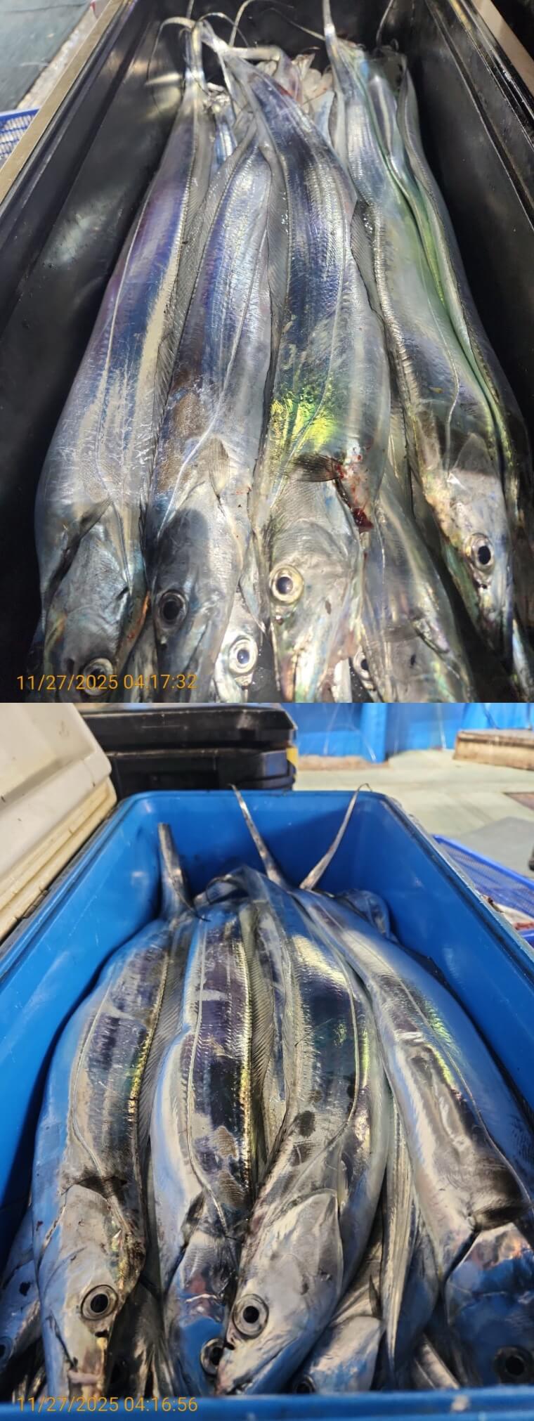 a9c30d70c10503974757bb8804eca262_1764215258_7396.jpg a9c30d70c10503974757bb8804eca262_1764215258_7396.jpg