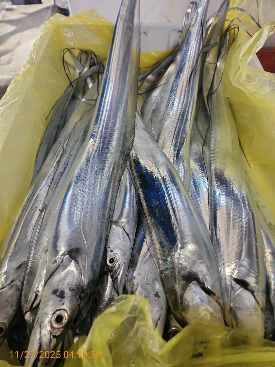 a9c30d70c10503974757bb8804eca262_1764215261_3728.jpg a9c30d70c10503974757bb8804eca262_1764215261_3728.jpg