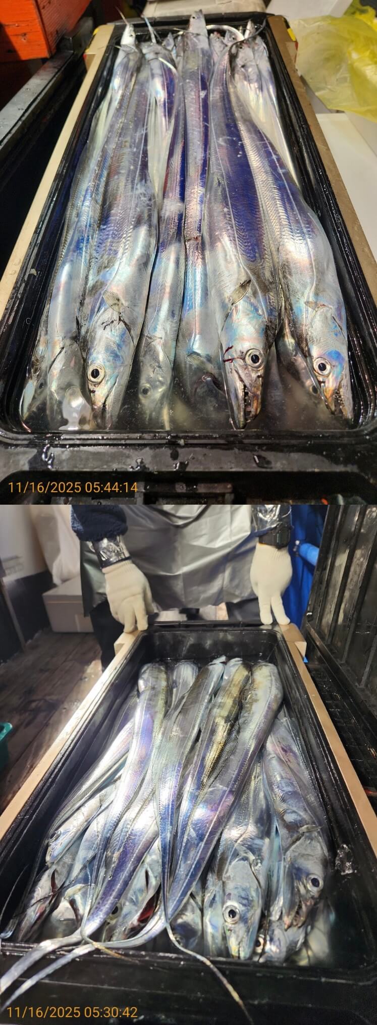 c17d1771e9236792cbf82e12e8316229_1763258026_4507.jpg c17d1771e9236792cbf82e12e8316229_1763258026_4507.jpg