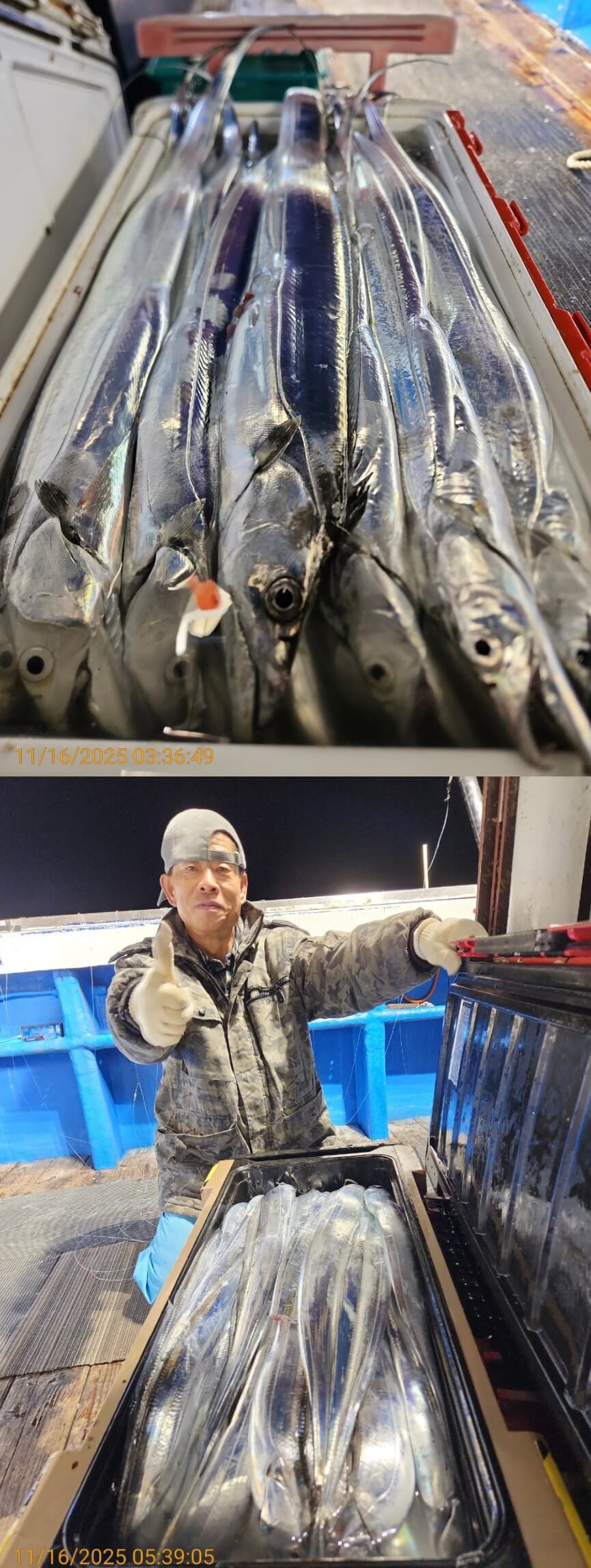 c17d1771e9236792cbf82e12e8316229_1763258027_4926.jpg c17d1771e9236792cbf82e12e8316229_1763258027_4926.jpg