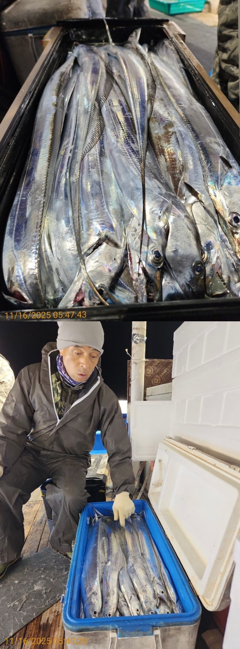 c17d1771e9236792cbf82e12e8316229_1763258028_5525.jpg c17d1771e9236792cbf82e12e8316229_1763258028_5525.jpg