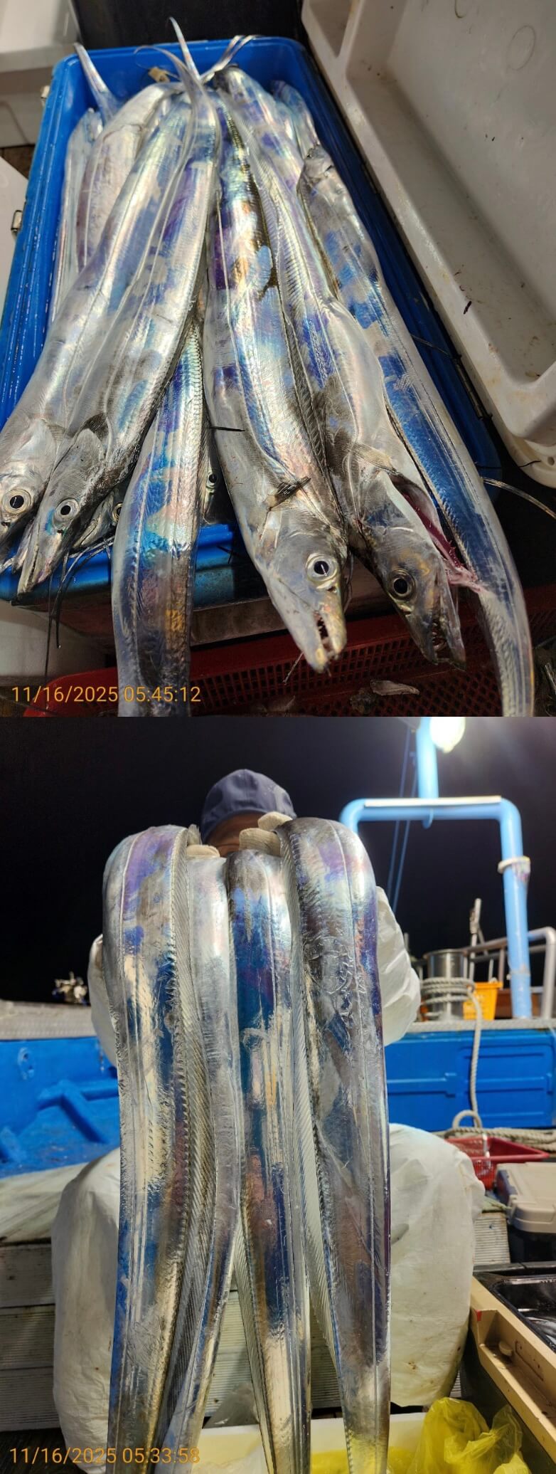 c17d1771e9236792cbf82e12e8316229_1763258029_5396.jpg c17d1771e9236792cbf82e12e8316229_1763258029_5396.jpg