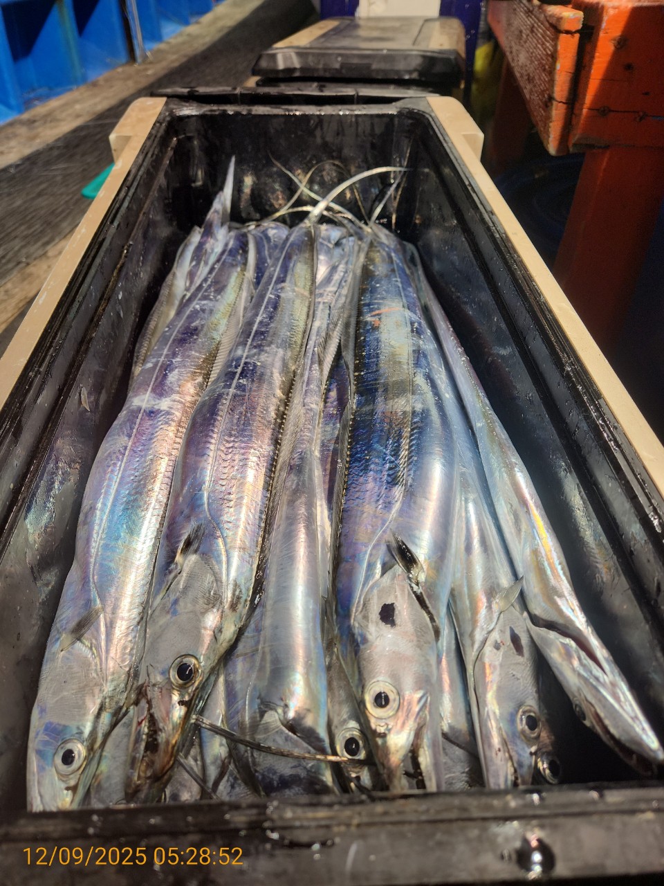 dd6e9da14314147593cecc623c4f73aa_1765344280_0048.jpg dd6e9da14314147593cecc623c4f73aa_1765344280_0048.jpg