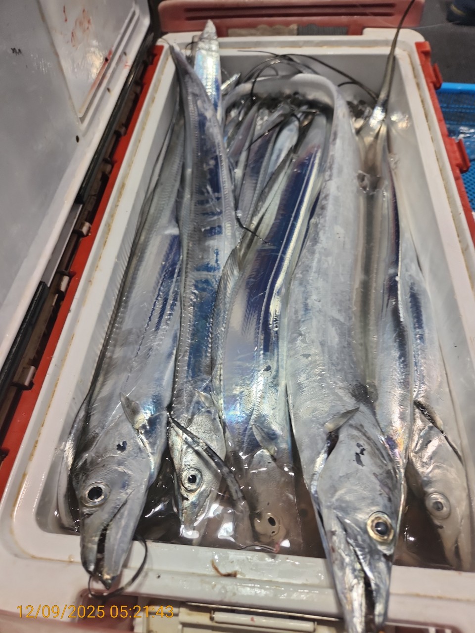 dd6e9da14314147593cecc623c4f73aa_1765344288_7757.jpg dd6e9da14314147593cecc623c4f73aa_1765344288_7757.jpg