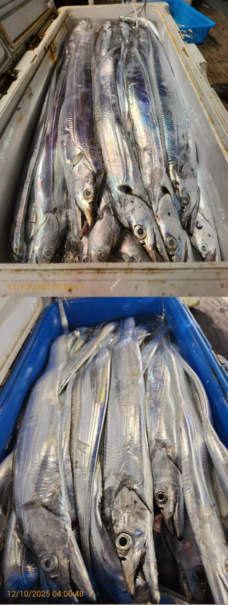 dd6e9da14314147593cecc623c4f73aa_1765344460_6091.jpg dd6e9da14314147593cecc623c4f73aa_1765344460_6091.jpg