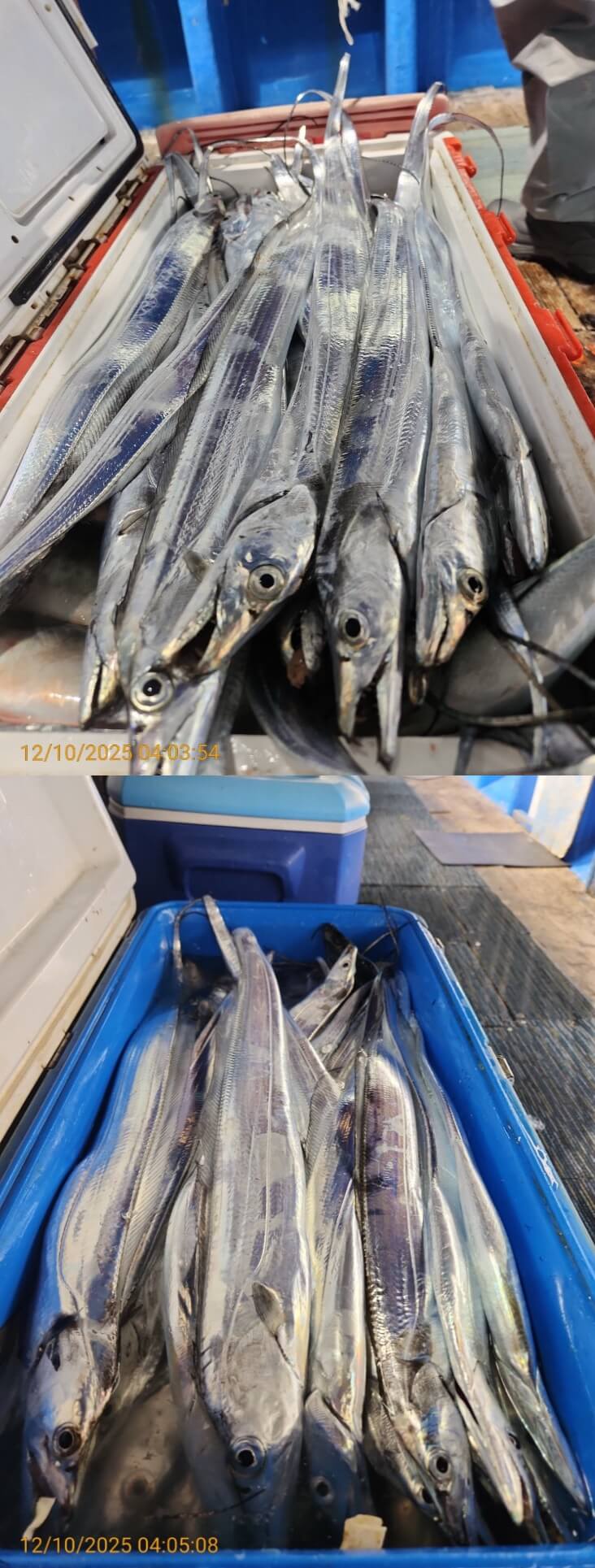 dd6e9da14314147593cecc623c4f73aa_1765344465_1064.jpg dd6e9da14314147593cecc623c4f73aa_1765344465_1064.jpg