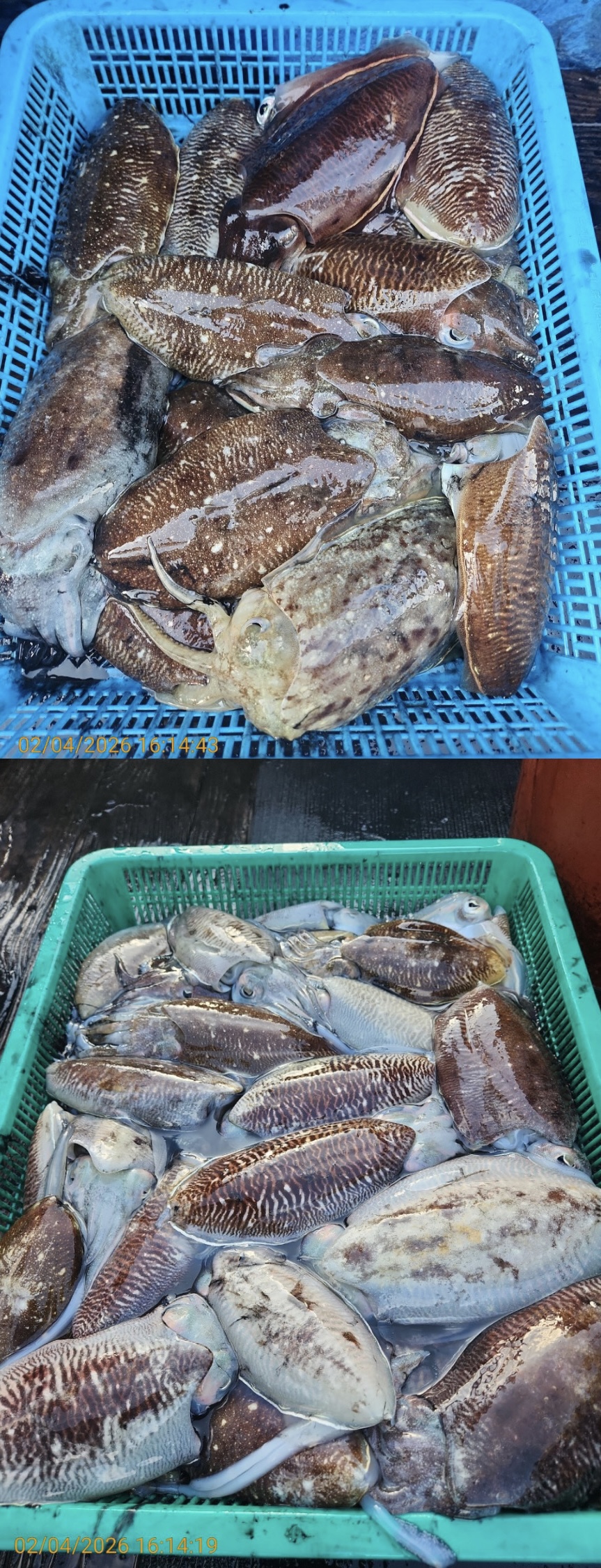 05505badc723c3f520c9b9f17bf1a839_1770211463_3908.jpeg 05505badc723c3f520c9b9f17bf1a839_1770211463_3908.jpeg