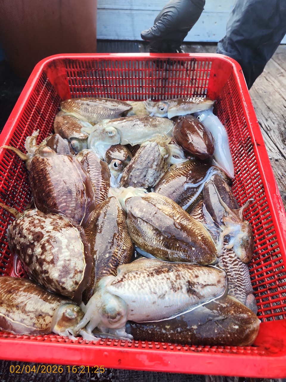 05505badc723c3f520c9b9f17bf1a839_1770211465_6059.jpeg 05505badc723c3f520c9b9f17bf1a839_1770211465_6059.jpeg