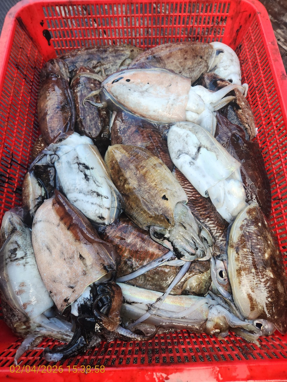 05505badc723c3f520c9b9f17bf1a839_1770211468_3512.jpeg 05505badc723c3f520c9b9f17bf1a839_1770211468_3512.jpeg