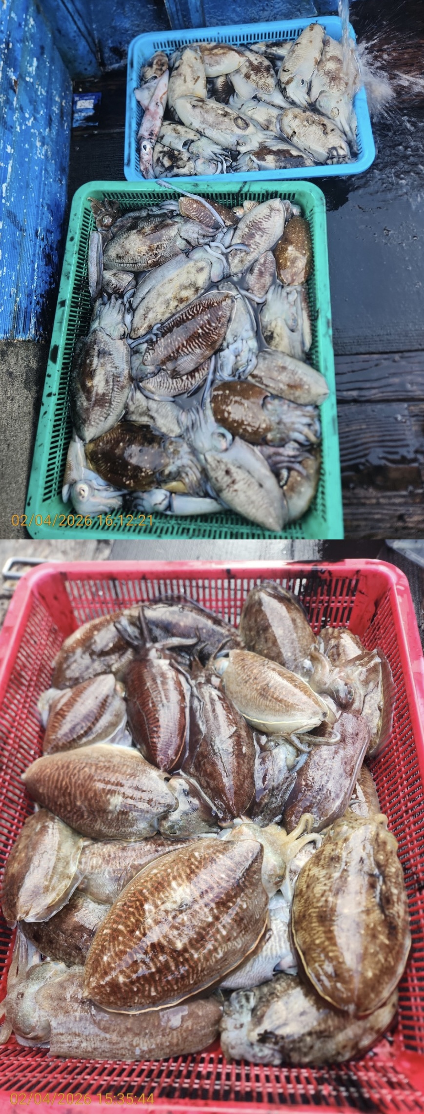 05505badc723c3f520c9b9f17bf1a839_1770211471_872.jpeg 05505badc723c3f520c9b9f17bf1a839_1770211471_872.jpeg