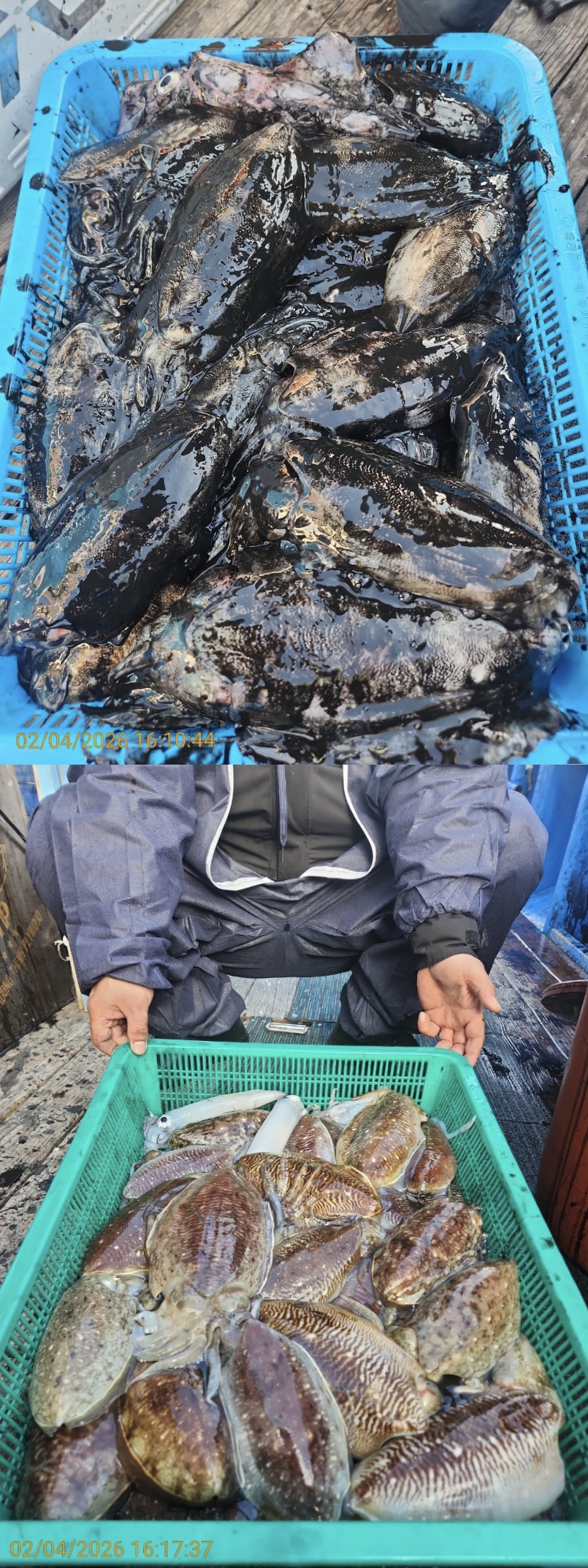 05505badc723c3f520c9b9f17bf1a839_1770211473_6904.jpeg 05505badc723c3f520c9b9f17bf1a839_1770211473_6904.jpeg