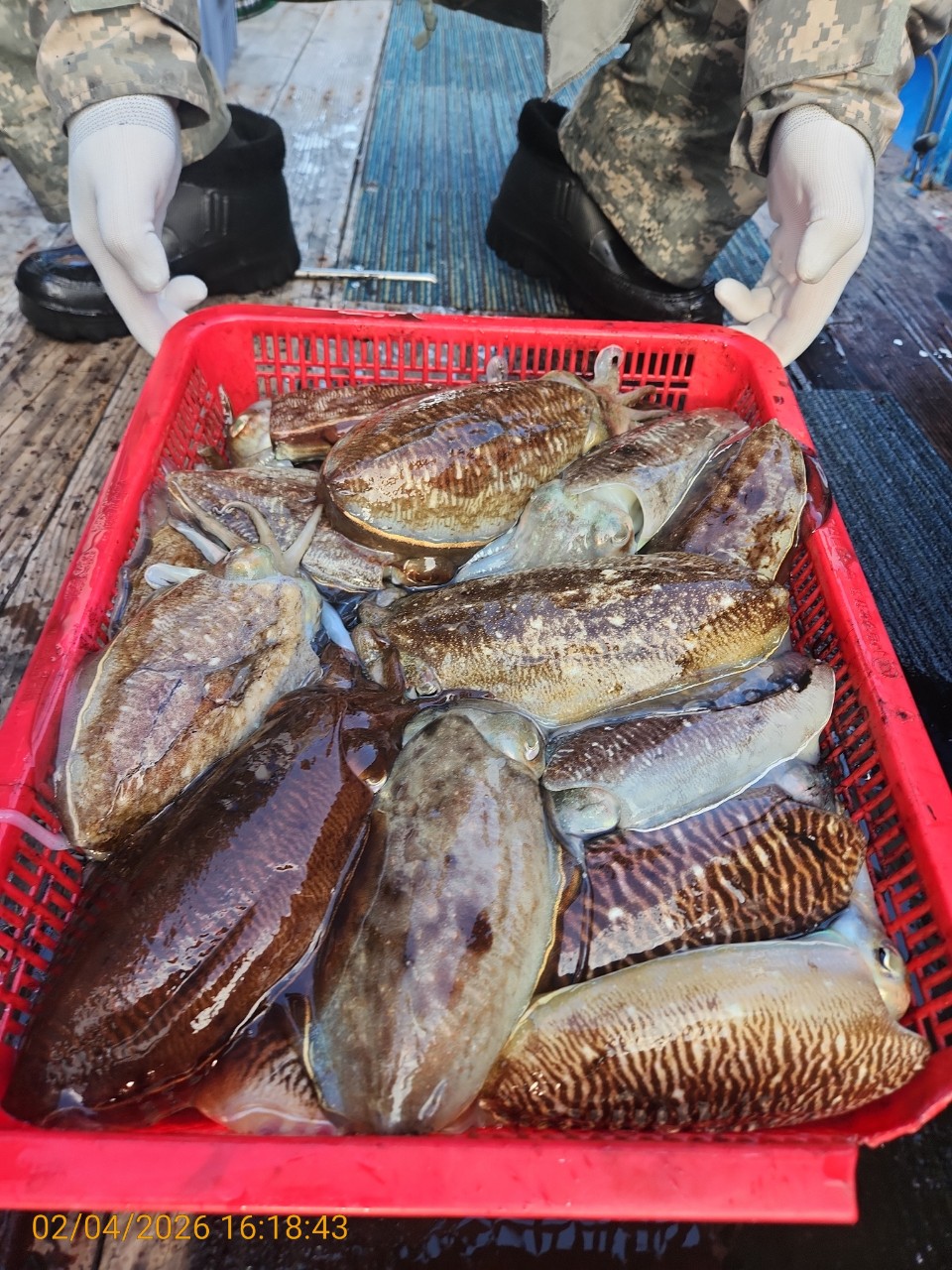 05505badc723c3f520c9b9f17bf1a839_1770211474_9739.jpeg 05505badc723c3f520c9b9f17bf1a839_1770211474_9739.jpeg