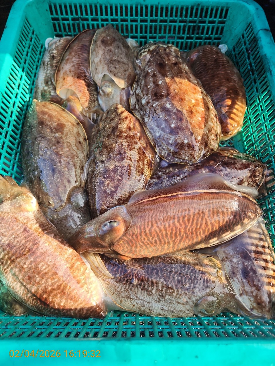 05505badc723c3f520c9b9f17bf1a839_1770211477_6265.jpeg 05505badc723c3f520c9b9f17bf1a839_1770211477_6265.jpeg