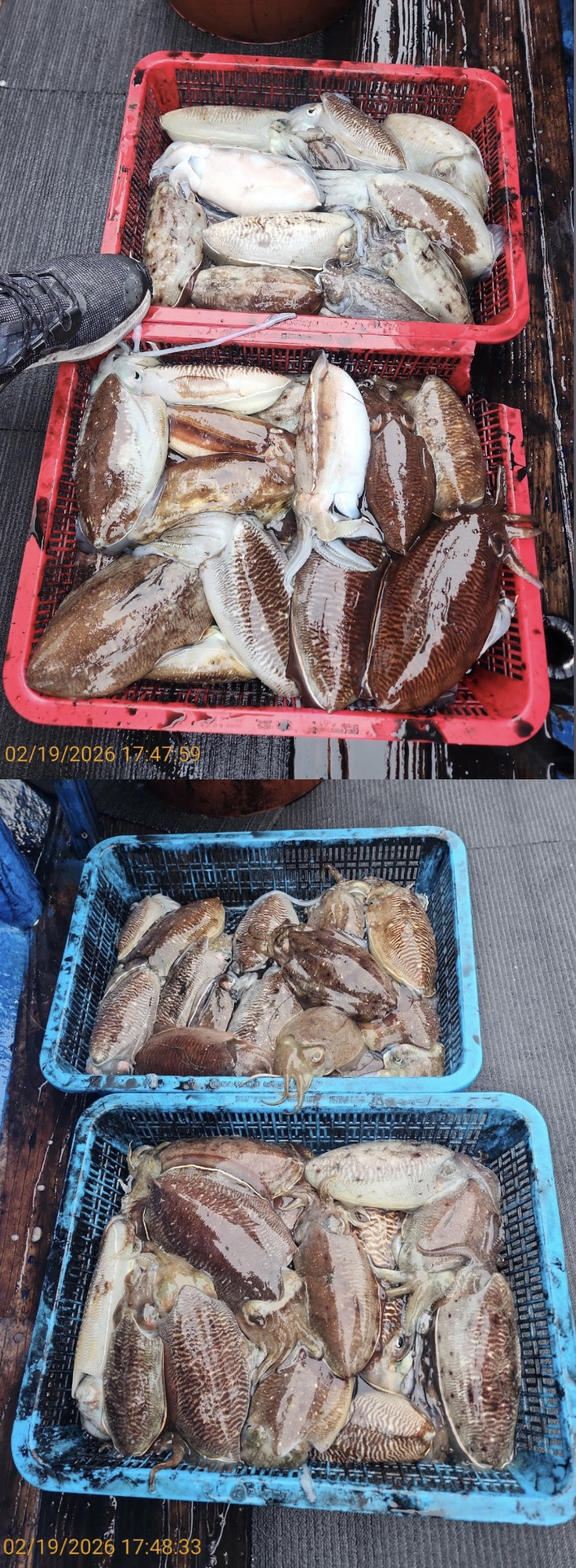 06a969f415e4d9b169dc08d69f4ee36a_1771510194_9705.jpeg 06a969f415e4d9b169dc08d69f4ee36a_1771510194_9705.jpeg