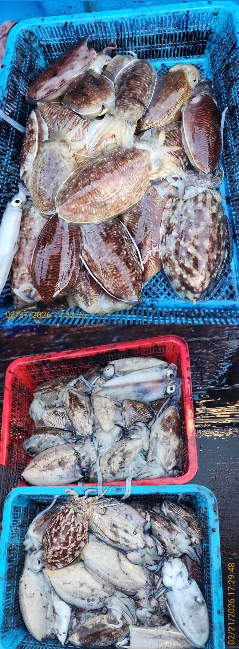 fd964b13285c4a8acc2cae72cb4c48a4_1771671745_5199.jpeg fd964b13285c4a8acc2cae72cb4c48a4_1771671745_5199.jpeg