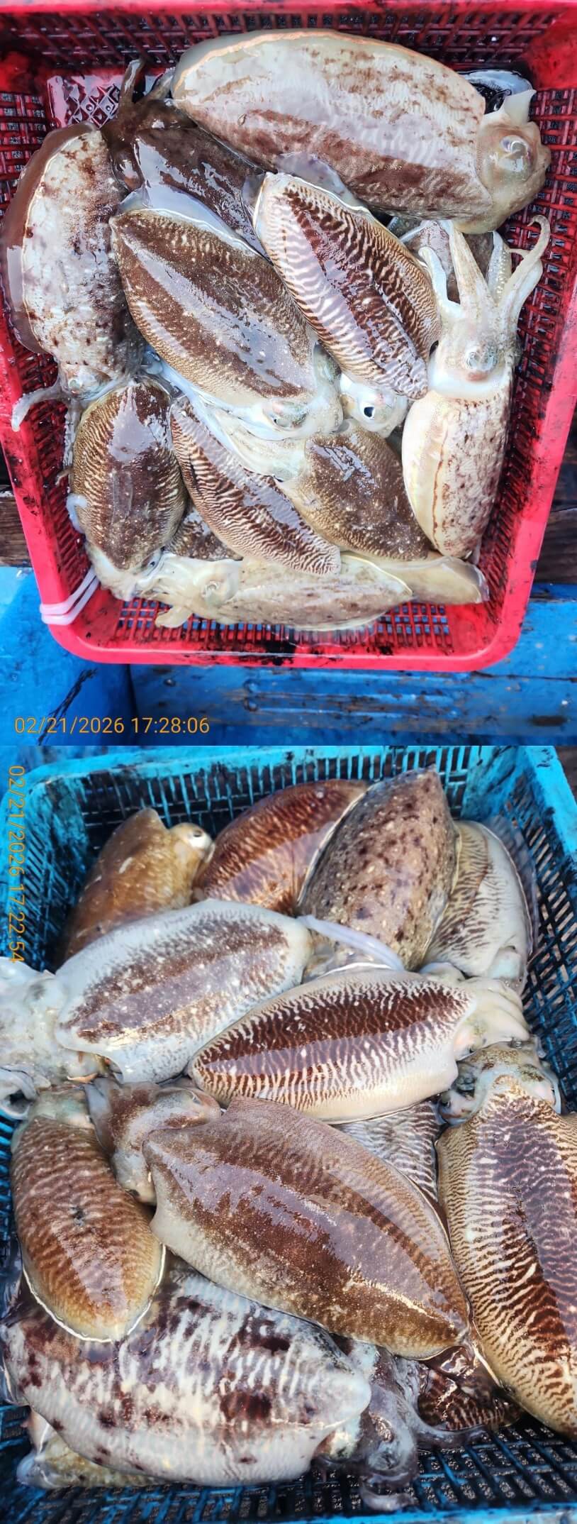 fd964b13285c4a8acc2cae72cb4c48a4_1771671772_7048.jpeg fd964b13285c4a8acc2cae72cb4c48a4_1771671772_7048.jpeg