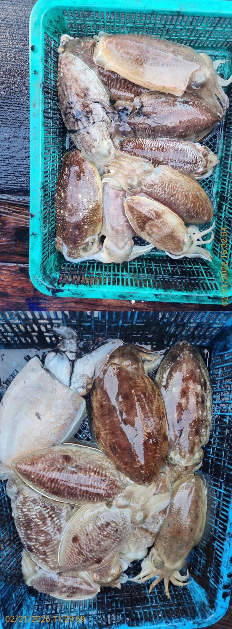 fd964b13285c4a8acc2cae72cb4c48a4_1771671780_3999.jpeg fd964b13285c4a8acc2cae72cb4c48a4_1771671780_3999.jpeg