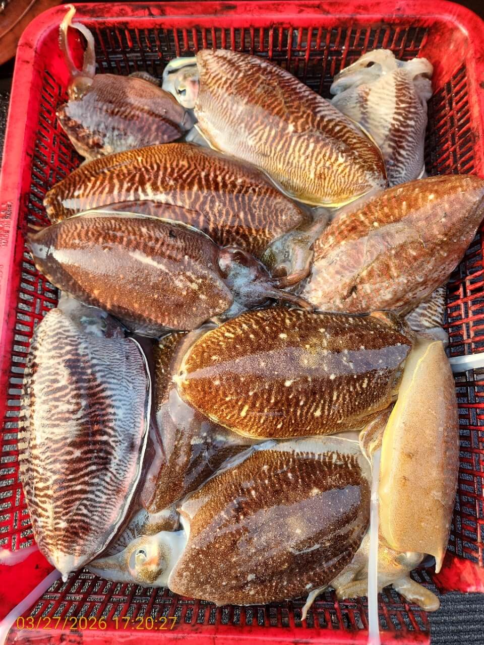 551f681e32e6d83e9cf2357ac79eb1e8_1774606683_3709.jpeg 551f681e32e6d83e9cf2357ac79eb1e8_1774606683_3709.jpeg