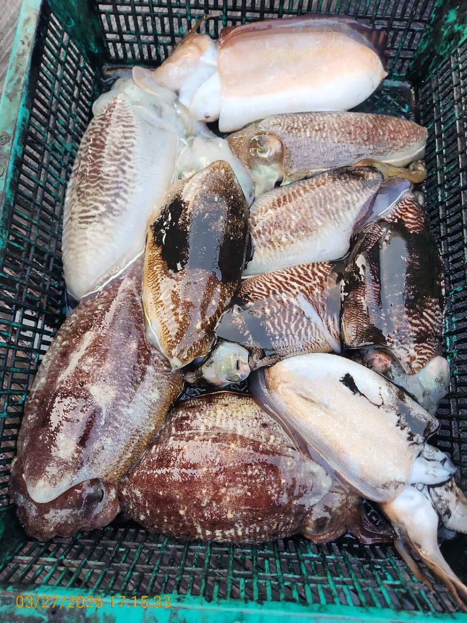 551f681e32e6d83e9cf2357ac79eb1e8_1774606685_6278.jpeg 551f681e32e6d83e9cf2357ac79eb1e8_1774606685_6278.jpeg