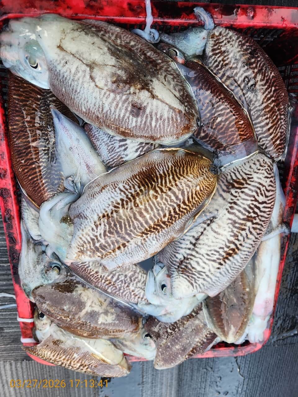 551f681e32e6d83e9cf2357ac79eb1e8_1774606687_9837.jpeg 551f681e32e6d83e9cf2357ac79eb1e8_1774606687_9837.jpeg