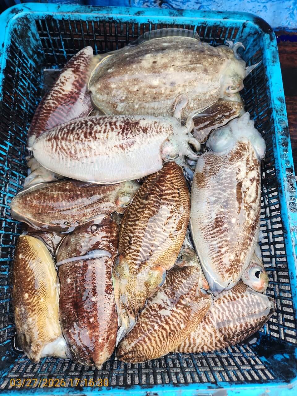 551f681e32e6d83e9cf2357ac79eb1e8_1774606690_0878.jpeg 551f681e32e6d83e9cf2357ac79eb1e8_1774606690_0878.jpeg