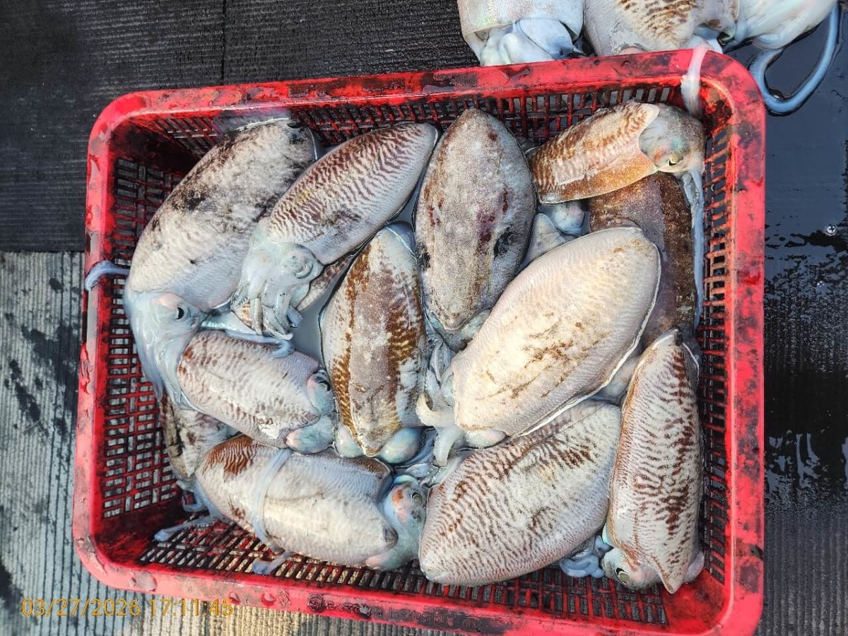 551f681e32e6d83e9cf2357ac79eb1e8_1774606692_2465.jpeg 551f681e32e6d83e9cf2357ac79eb1e8_1774606692_2465.jpeg